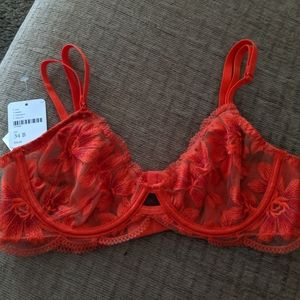 Free people bra